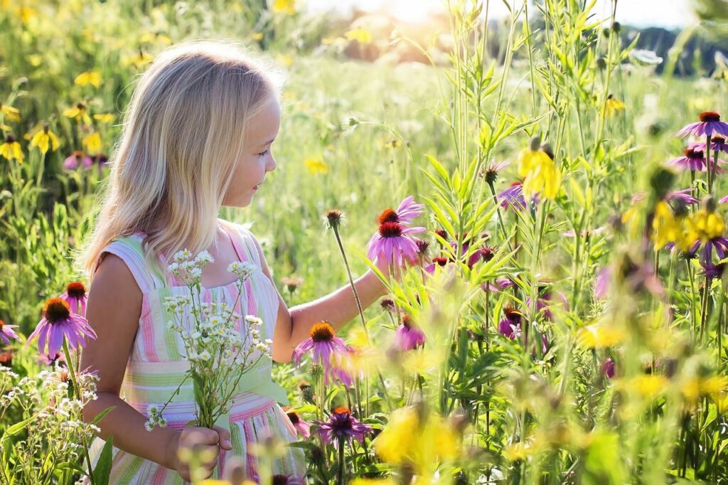 Mädchen im Sommer auf Blumenwiese Kinder animieren, die Natur zu lieben So klappt es